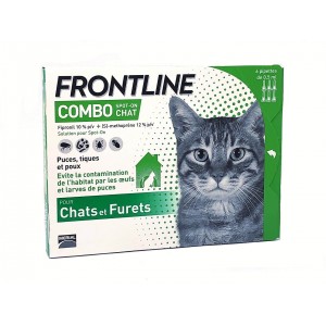 Frontline Combo Chat - 6...