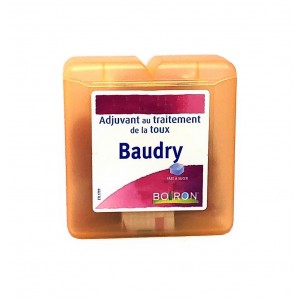 Baudry Pâte à Sucer - Boiron