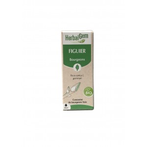 HerbalGem Figuier Bourgeons...