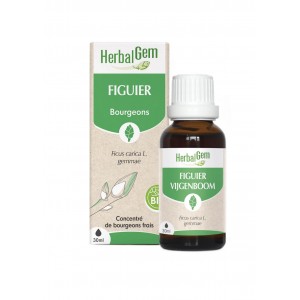 HerbalGem Figuier Bourgeons...