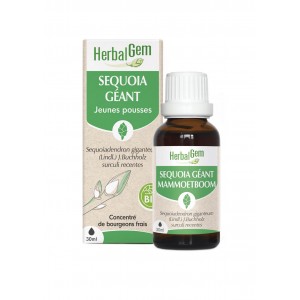 HerbalGem Sequoia Géant...