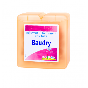 Baudry Pâte à Sucer Boiron...